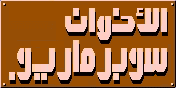 الأخوان سوبر ماريو